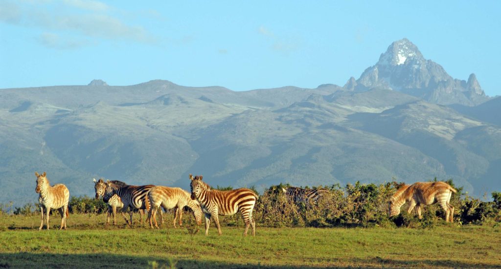 Kenya National Park